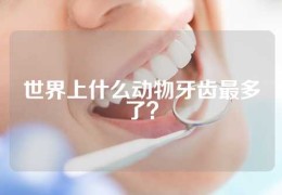 世界上什么动物牙齿最多了？